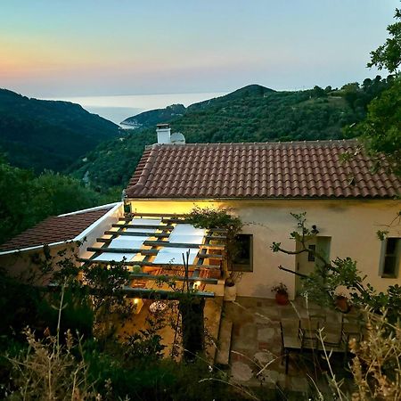Olive Mill Cottage Skopelos stad Exteriör bild